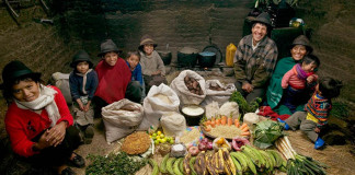 Ako vyzerá týždenný nákup potravín rodín z rôznych krajín sveta? Pozerajte na tie rozdiely!
